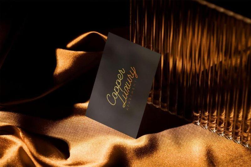 לודז' Luxury Copper Apartment II מראה חיצוני תמונה